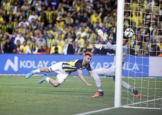 决策将决定 决策将决定