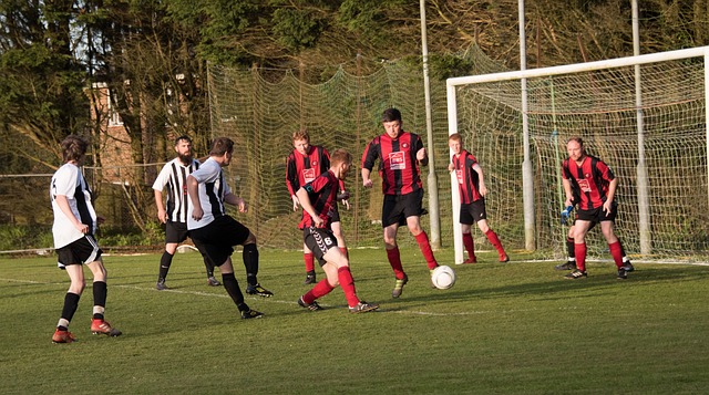 顽强精神 顽强精神