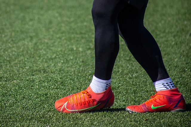 季的皇家马 季的皇家马