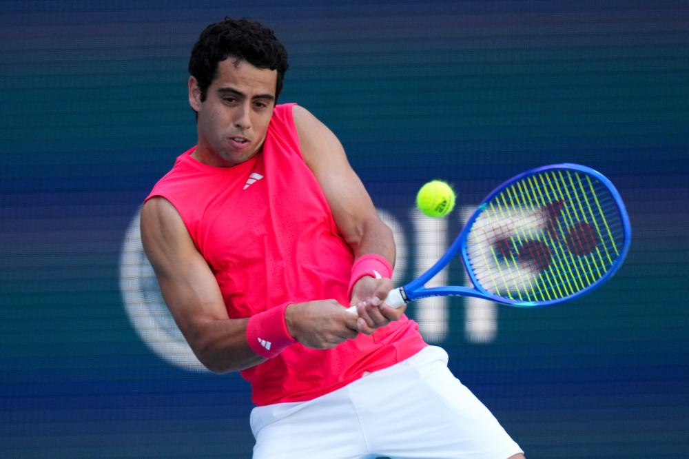 胜率高达 胜率高达