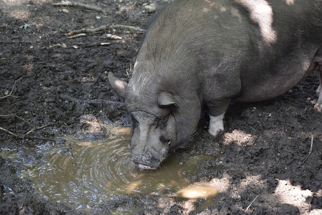 对能力至关 对能力至关