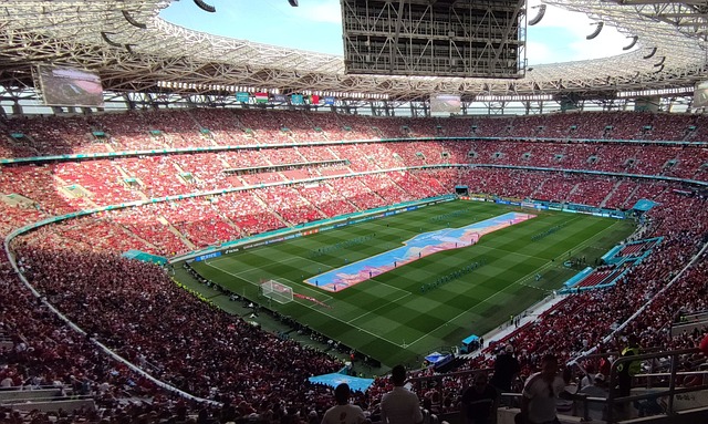 多利亚的战 多利亚的战