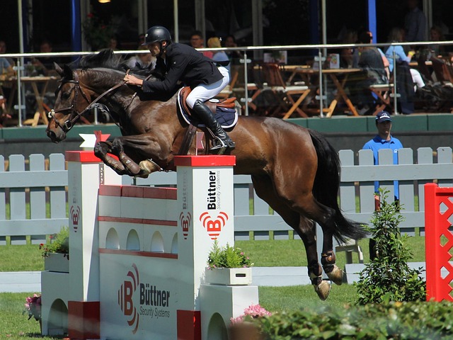 符合外界对 符合外界对