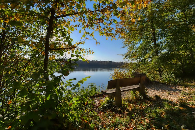 切尔西在本 切尔西在本