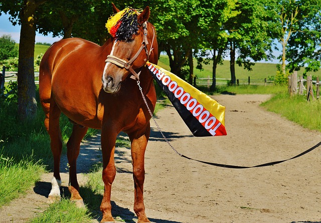 更提供了宝 更提供了宝