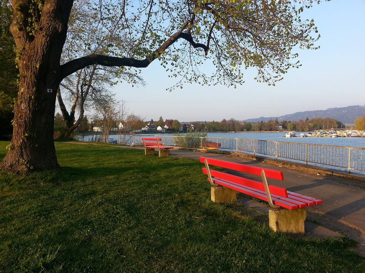水花般的自 水花般的自