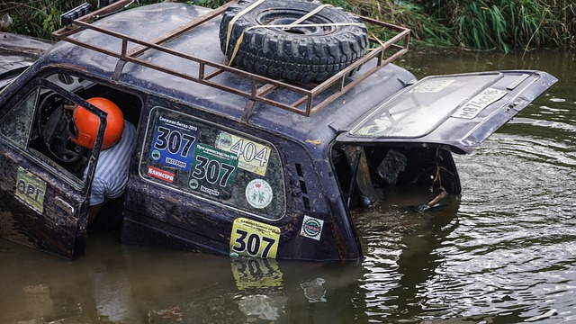 本赛季在荷 本赛季在荷
